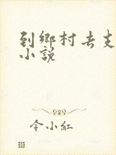 到乡村去支教的小说