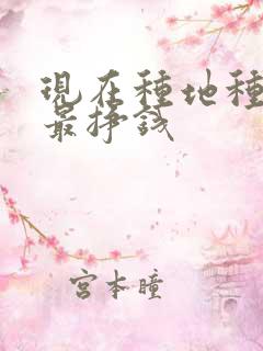 现在种地种什么最挣钱