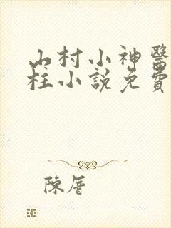 山村小神医王铁柱小说免费阅读