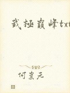 武极巅峰txt