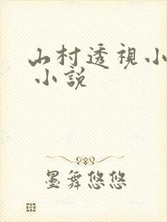 山村透视小仙医 小说
