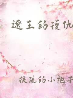 辽王的复仇小妾