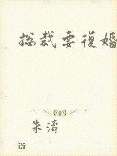 总裁要复婚