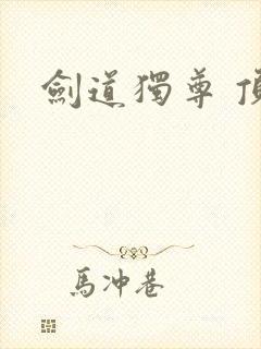 剑道独尊 顶点