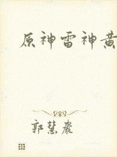 原神雷神黄本本