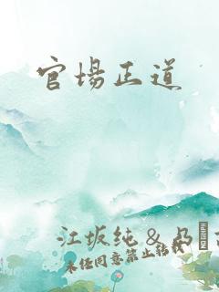 官场正道