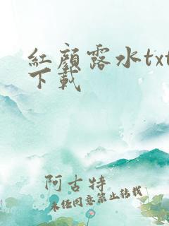 红颜露水txt下载