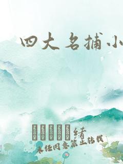 四大名捕小说