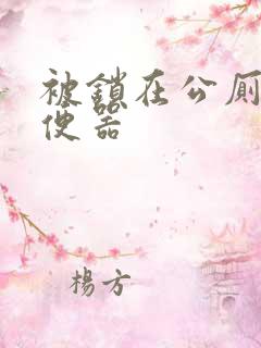 被锁在公厕当坐便器
