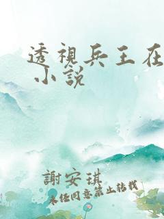透视兵王在山村 小说