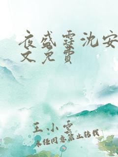夜盛霆沈安然全文免费
