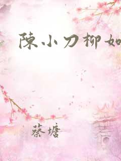 陈小刀柳如意
