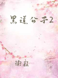 黑道公子2