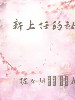 新上任的秘书3