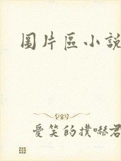 图片区小说区
