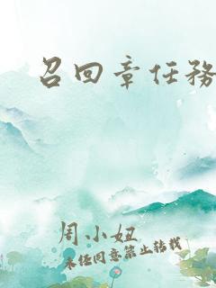 召回章任务