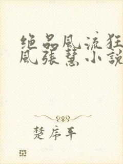 绝品风流狂医林风张慧小说