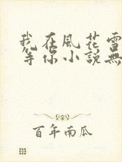 我在风花雪月里等你小说无弹窗