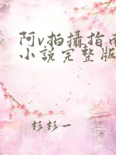 阿v拍摄指南说小说完整版