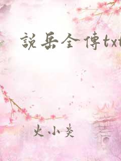 说岳全传txt