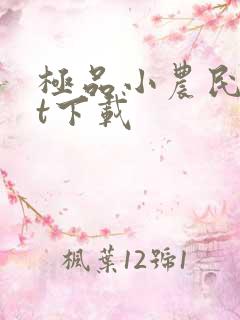 极品小农民txt下载