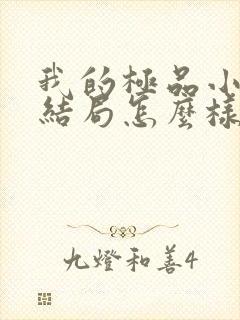 我的极品小姨大结局怎么样