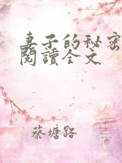 妻子的秘密小说阅读全文