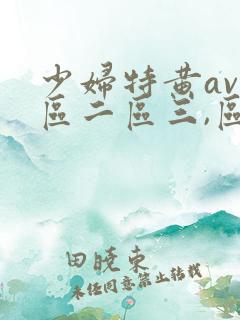 少妇特黄av一区二区三,区