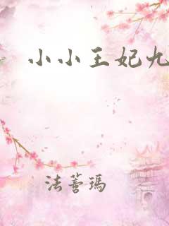 小小王妃九岁半