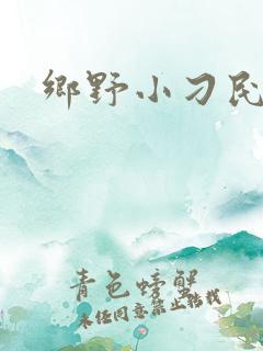 乡野小刁民