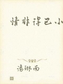 情非得已小说
