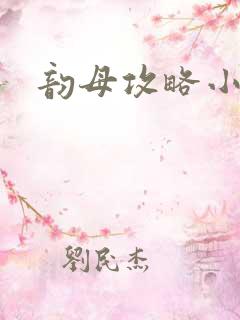 韵母攻略小说