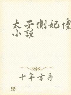 太子侧妃傻乎乎小说