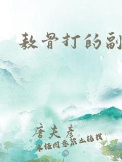 敖骨打的副官