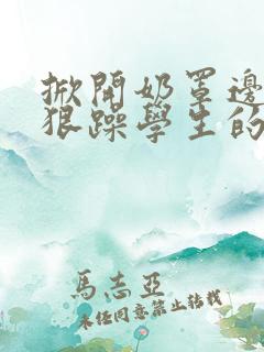 掀开奶罩边躁狠狠躁学生的小文字