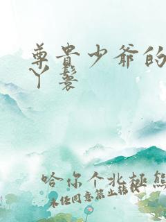 尊贵少爷的大牌丫鬟