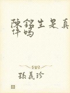 陈铭生是真实事件吗