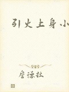 引火上身小说