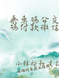 乘车码公交二维码付款微信