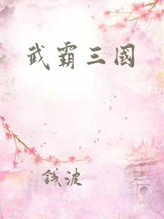 武霸三国