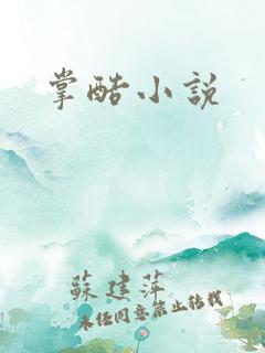 掌酷小说