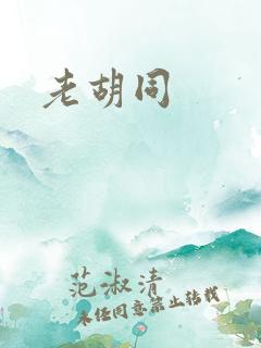 老胡同