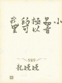 我的极品小姨哪里可以看
