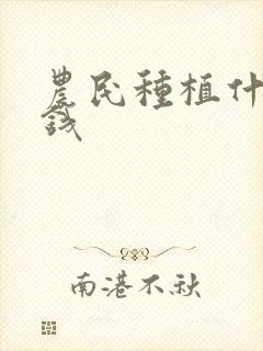 农民种植什么挣钱