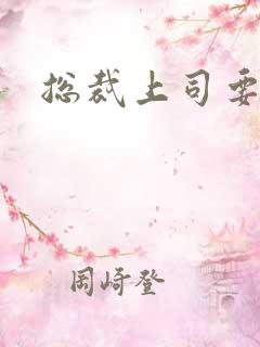 总裁上司要偷心