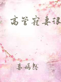 高管宠妻很丰满