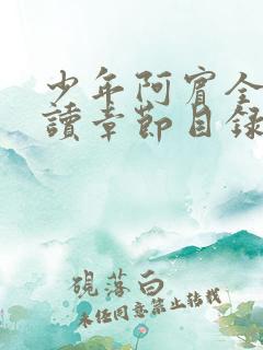 少年阿宾全文阅读章节目录