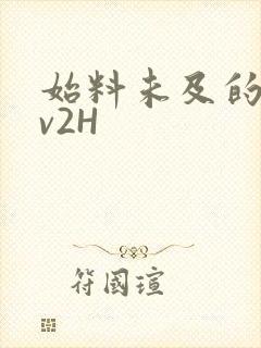 始料未及的软1v2H