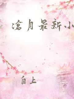 沧月最新小说