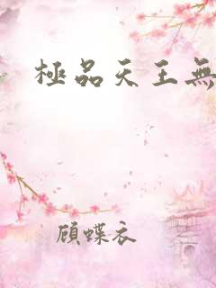 极品天王无弹窗